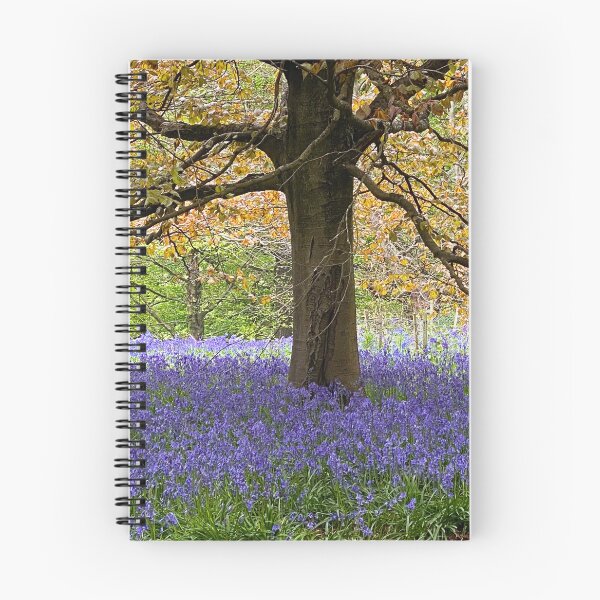 Item preview, Bluebells in the wood designed and sold by Paddyb17.