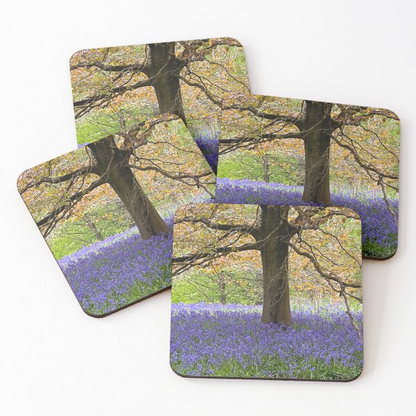 Item preview, Bluebells in the wood designed and sold by Paddyb17.