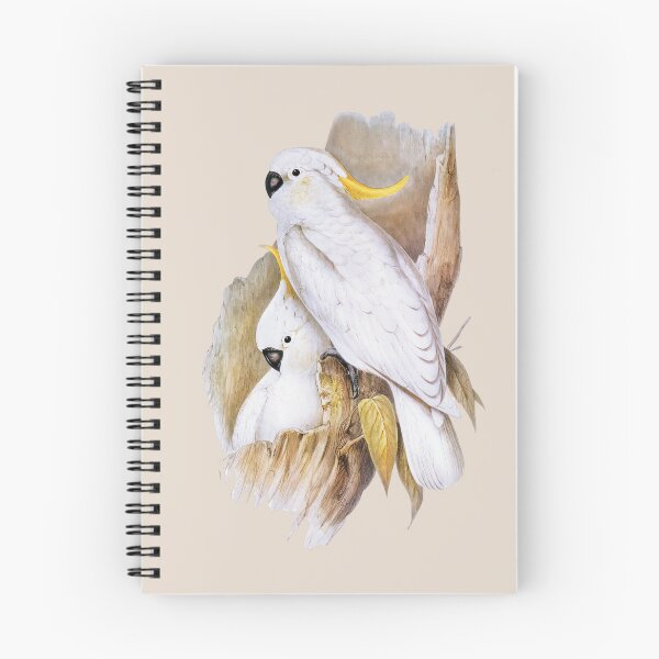 Item preview, Sulphur Crested Cockatoo. (Cacatua galerita) by John Gould designed and sold by wildtribe.