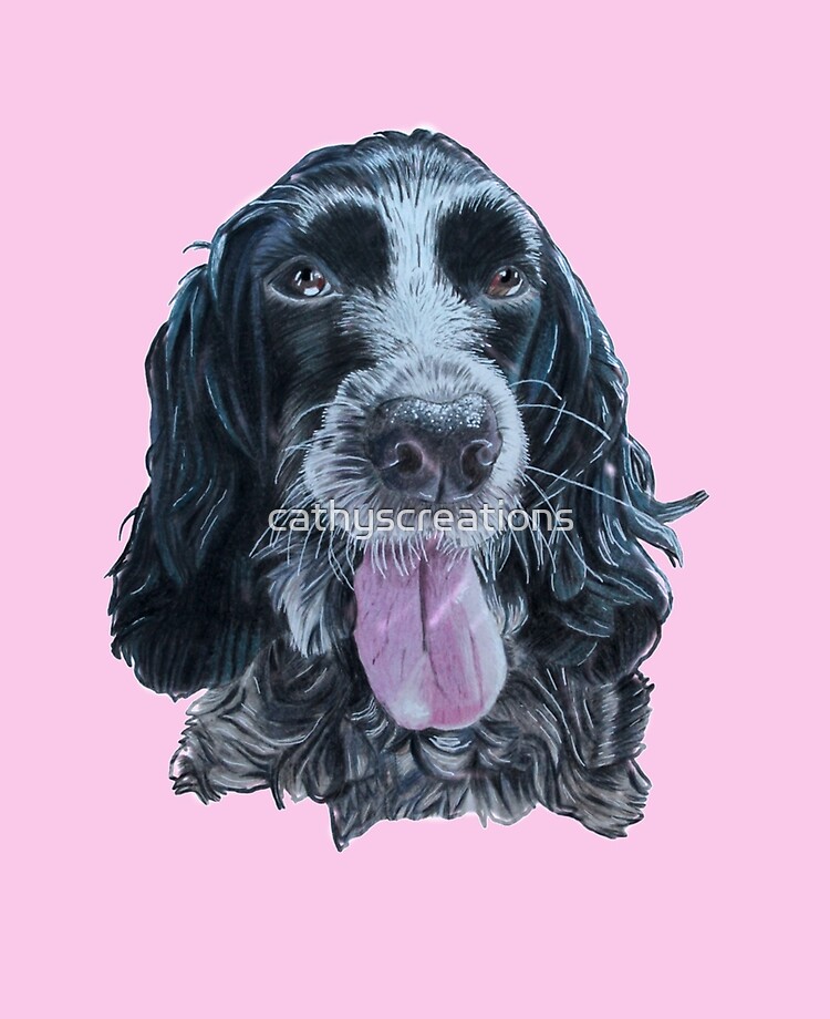 blue roan cocker puppies