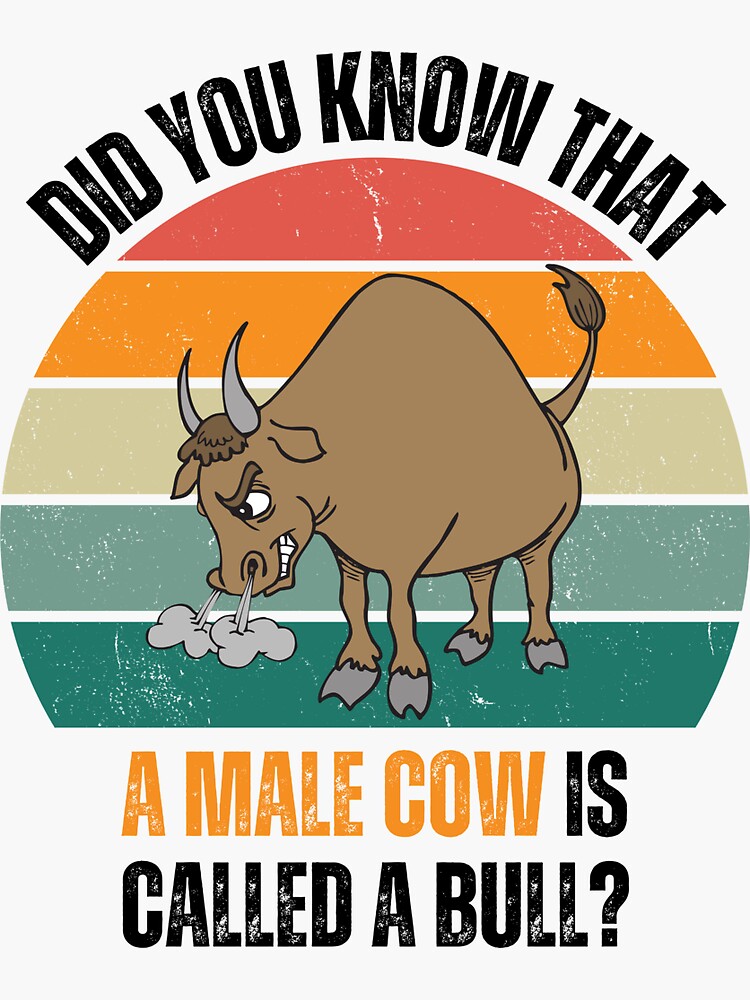 do-male-cows-have-udders-information-and-facts-farm-and-chill