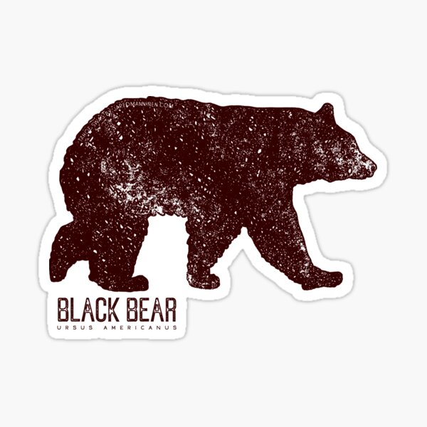Black Bear Walking Sticker