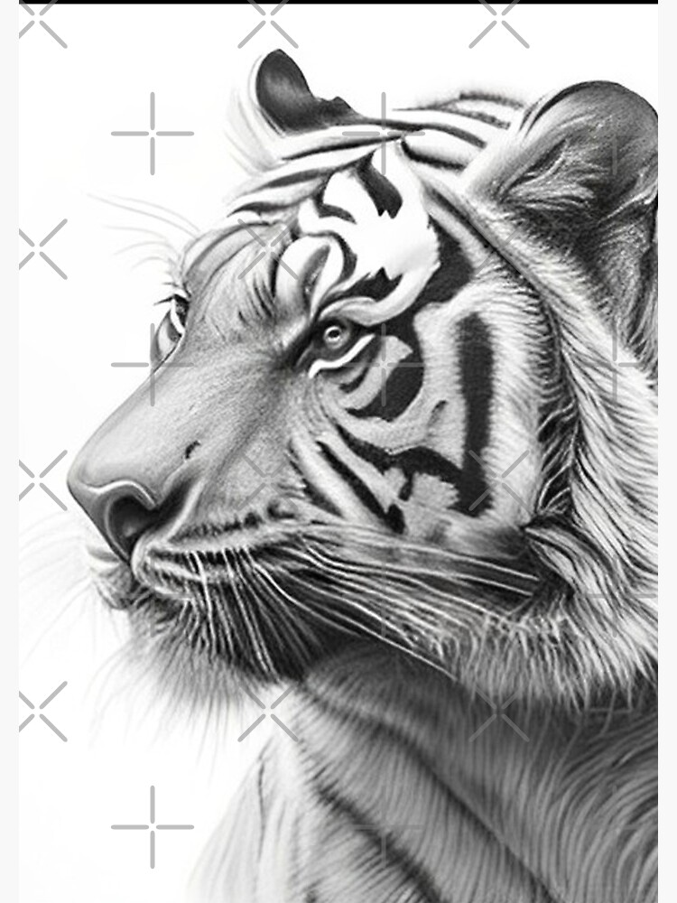 Sketchbook : 8.5 x 11 Notebook for Creative Drawing and Sketching  Activities with Tiger Skin Themed Cover Design (Paperback) 