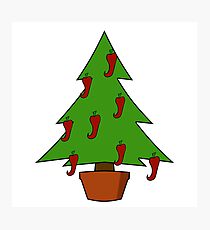 Spicy Christmas Tree - Chilli Peppers Photographic Print