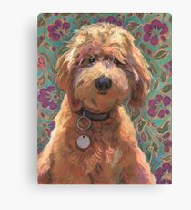 Lucky Labradoodle Canvas Print