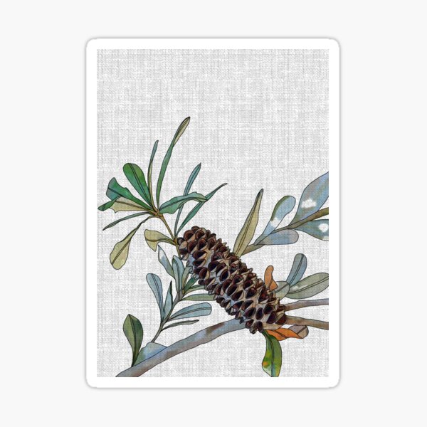 Banksia Sticker