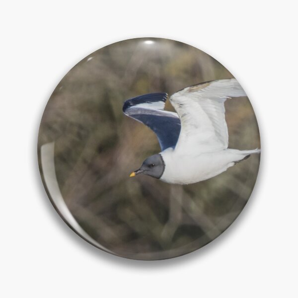 Item preview, Sabine's Gull designed and sold by LaurenTucker.