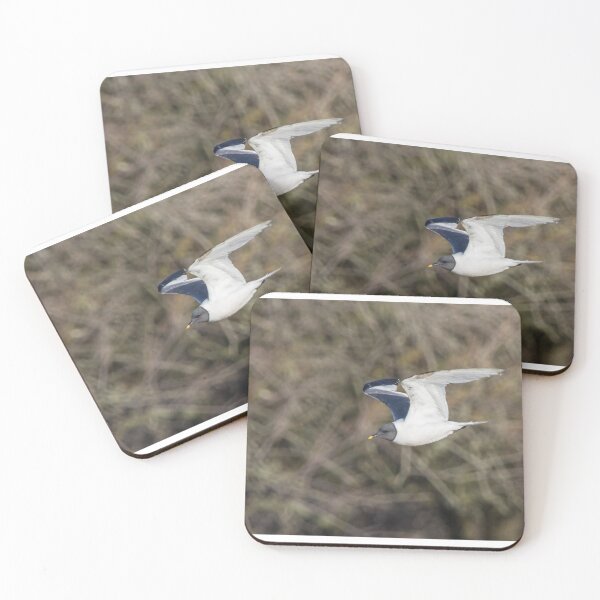 Item preview, Sabine's Gull designed and sold by LaurenTucker.