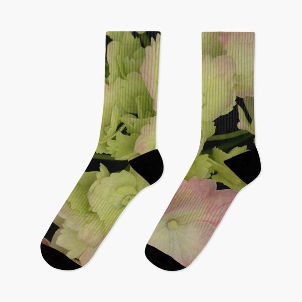 Item preview, Hydrangeas 5 designed and sold by Geoff Treagus.