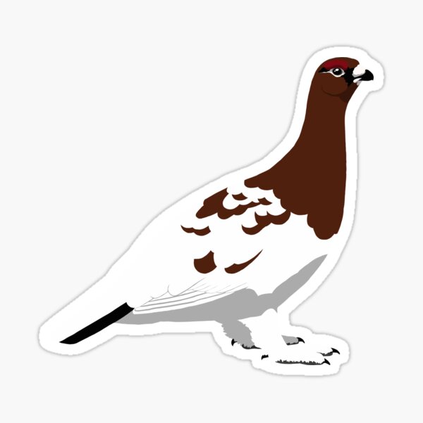 Willow Ptarmigan Sticker