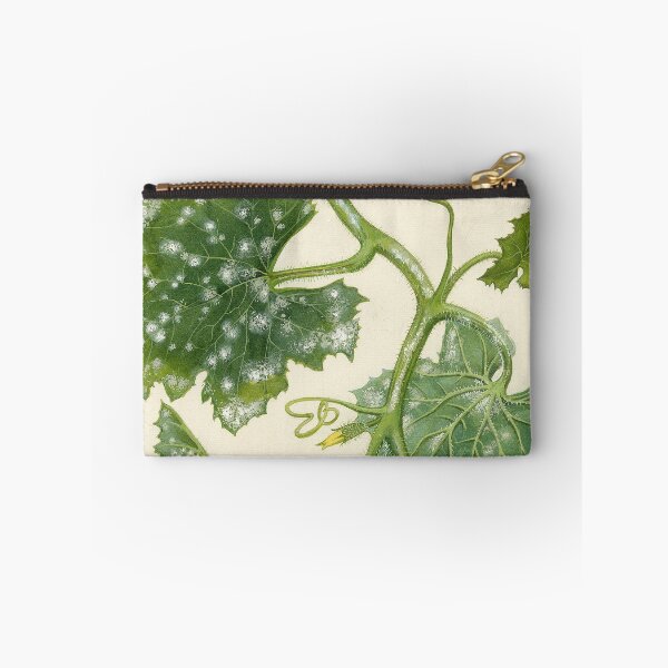 Item preview, Powdery Mildew of Cucurbits designed and sold by BiosecurityColl.