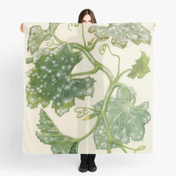 Item preview, Powdery Mildew of Cucurbits designed and sold by BiosecurityColl.