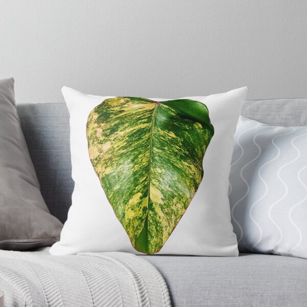 Aperçu de l'œuvre Photo unique et bio d'un shake fraise Philodendron 3 créée et vendue par AvonPerception.