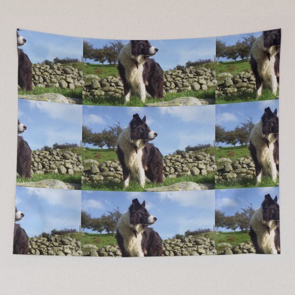 Item preview, Remember Indy this way.  designed and sold by Michael Haslam.