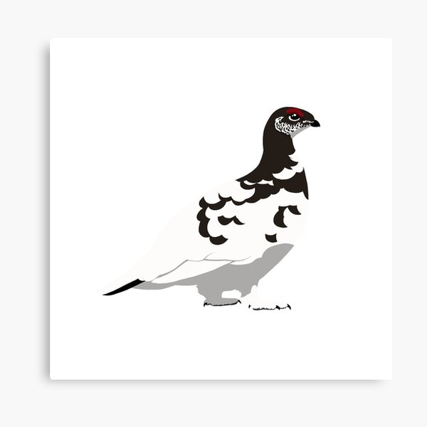 Item preview, Rock Ptarmigan designed and sold by BennuBirdy.