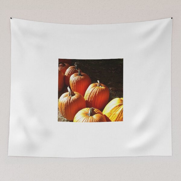 Item preview, Pumpkins designed and sold by Nancy Muldoon.