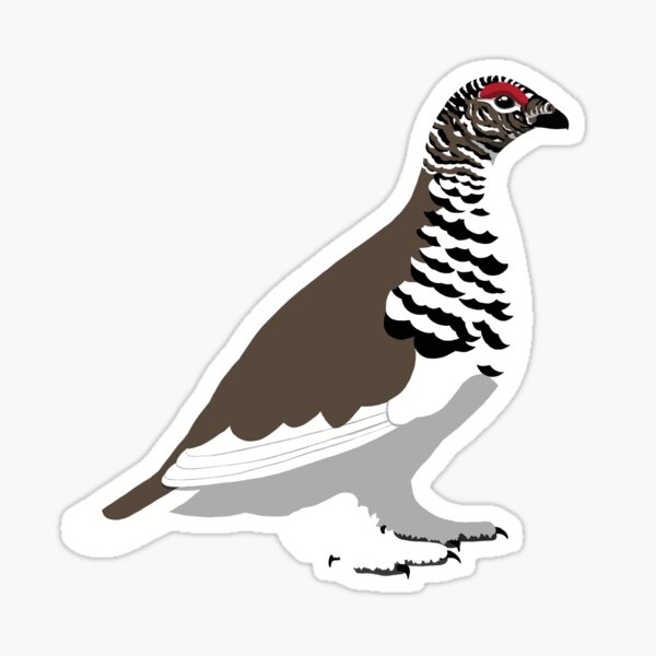White-tailed Ptarmigan Sticker