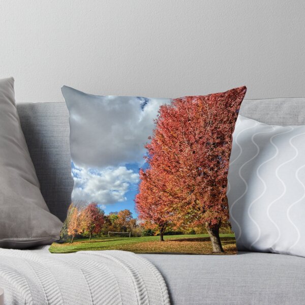 Item preview, Maynes Grove Park designed and sold by LynyrdSky.