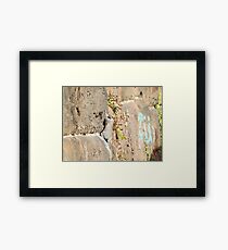 Squirrel on the Sixth Street Embankment, Abandoned Pennsylvania Railroad Embankment, Jersey City, New Jersey Framed Print