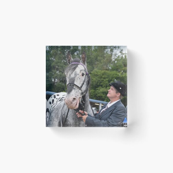 Item preview, Harley's Classic O designed and sold by GhostHorsePhoto.