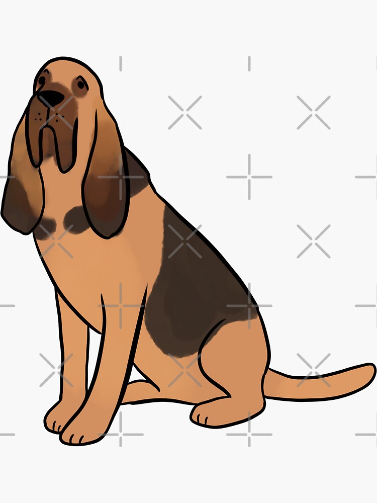 bloodhound dog clipart transparent