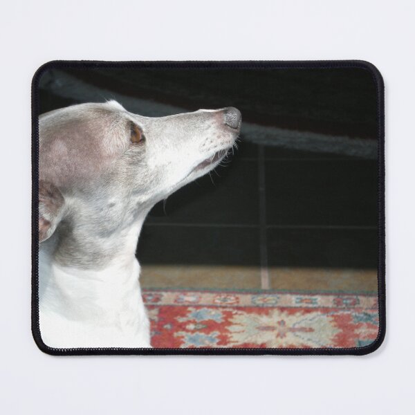 Item preview, Isabell designed and sold by Rebekah  McLeod.