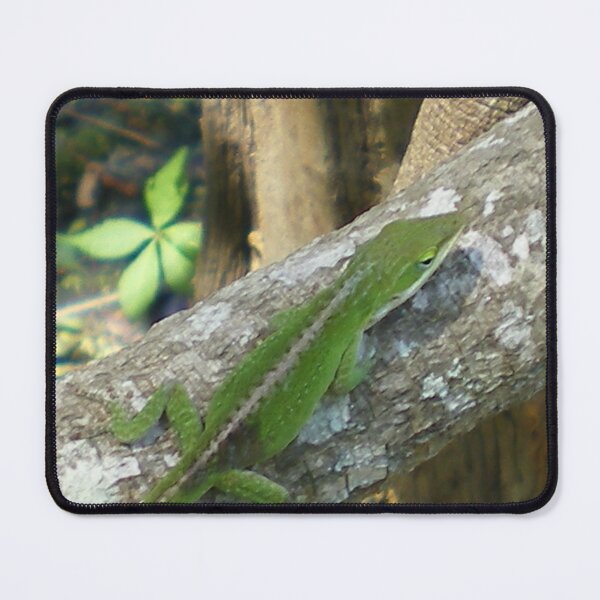 Item preview, Green Lizard designed and sold by Rebekah  McLeod.