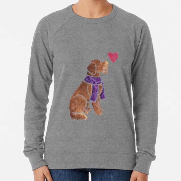 Labradoodle sweater Clearance