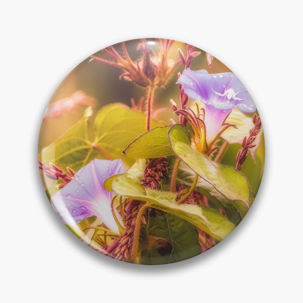 Item preview, Morning Glory Loves Corn designed and sold by Jim Love.