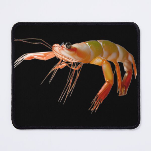 Item preview, Muscle Shrimp small tough guy-- 3D designed and sold by glitchman2.