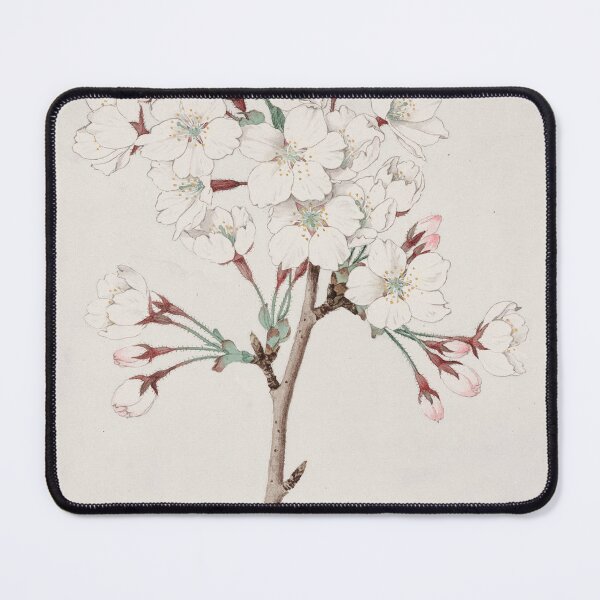 Item preview, Somei Yoshino by Kōkichi Tsunoi, 1921 designed and sold by linggalibrary.