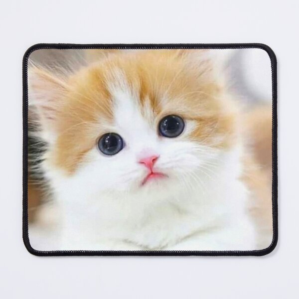Item preview, ginger and white kitten designed and sold by Batartiste.