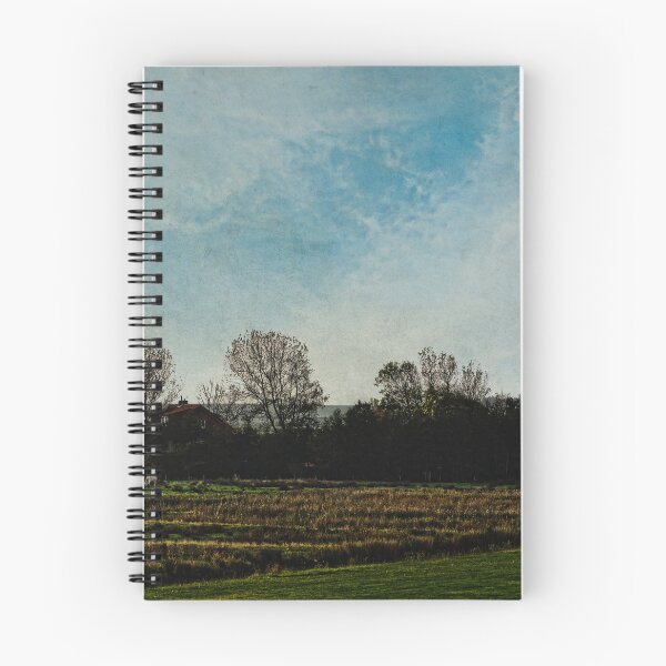 Item preview, Exaltation Without Sound designed and sold by Denise Abé.