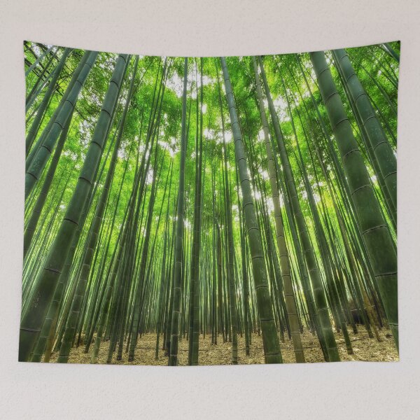 Item preview, Bamboo Forest Nature Photography Woodlands Trees Attire designed and sold by Siela.