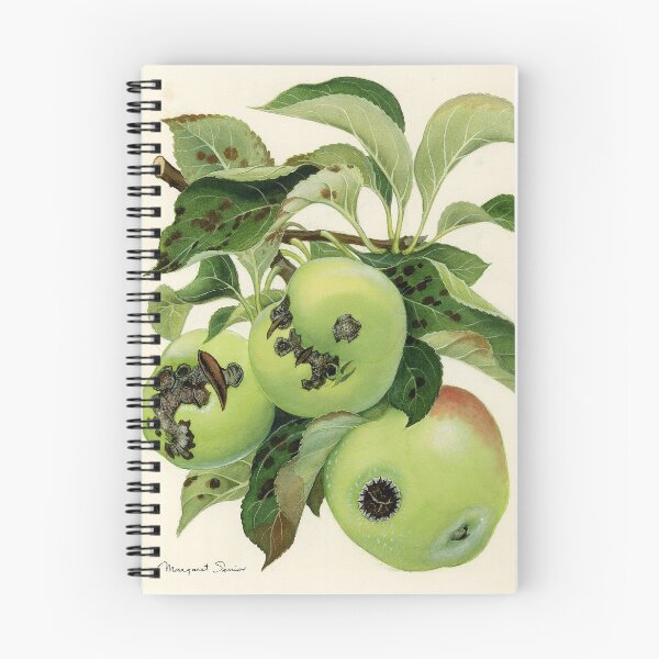 Item preview, Apple Scab - Venturia inaequalis designed and sold by BiosecurityColl.