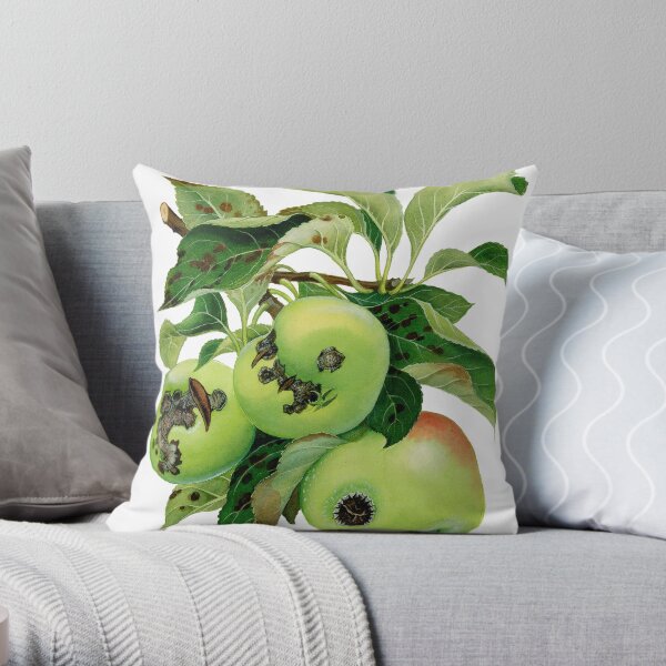 Apple Scab - Venturia inaequalis - (cut-away) Throw Pillow