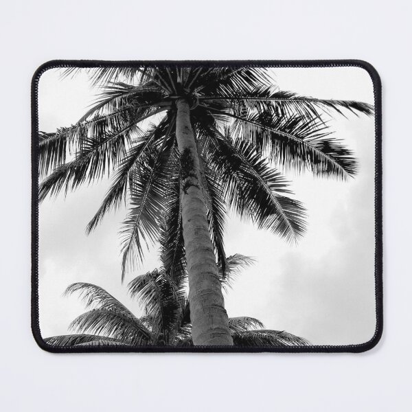 Item preview, "Beware of coconut trees" Black and White designed and sold by stedata.