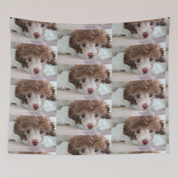 Item preview, Toy Poodle Puppy designed and sold by Liz Lane.