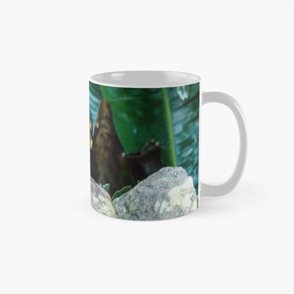 Item preview, Indian Myna designed and sold by frommyhorizon.