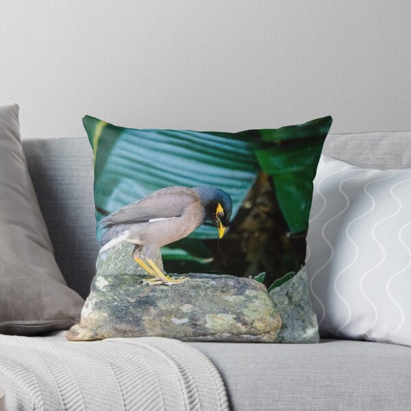 Item preview, Indian Myna designed and sold by frommyhorizon.
