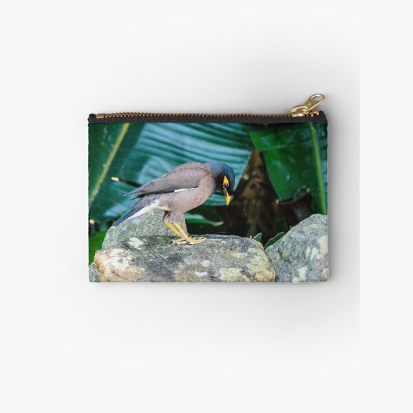 Item preview, Indian Myna designed and sold by frommyhorizon.