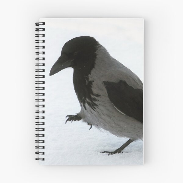 Item preview, Beautiful Hooded Crow Strolling in Snow designed and sold by Taina Sohlman.