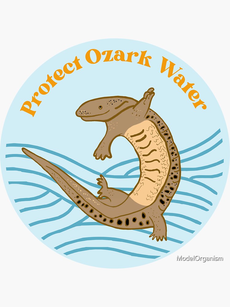 "Protect Ozark Water Ozark Hellbender Species River Conservation