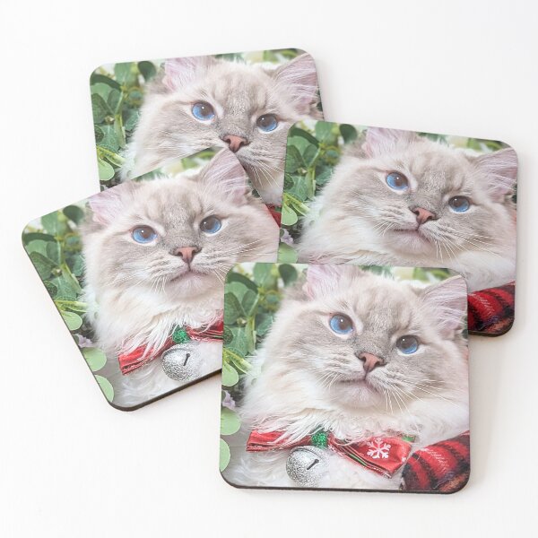 Item preview, Lynx ragdoll cat in tartan designed and sold by Fluffycat2020.