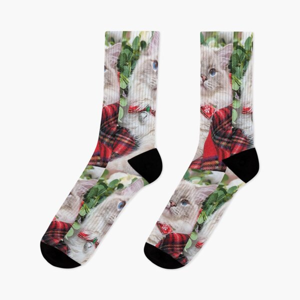 Item preview, Lynx ragdoll cat in tartan designed and sold by Fluffycat2020.
