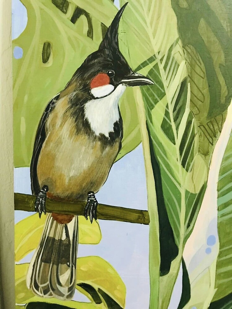 Red Whiskered Bulbul by akoRn on Newgrounds