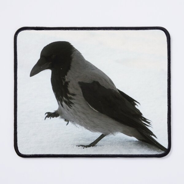 Item preview, Beautiful Hooded Crow Strolling in Snow designed and sold by Taina Sohlman.