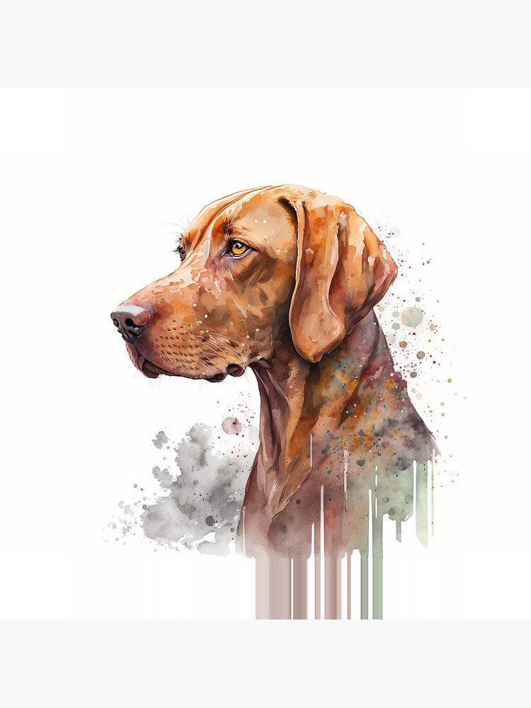 Magic vizsla hot sale