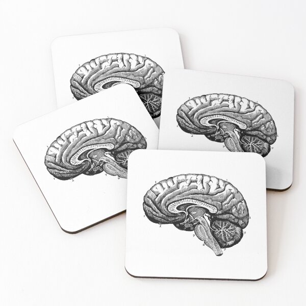 Item preview, Anatomical vintage drawing brain designed and sold by perfektdesign.