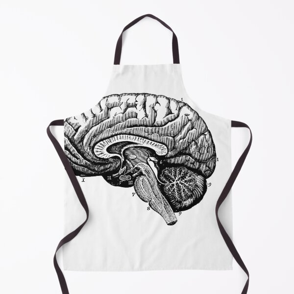Item preview, Anatomical vintage drawing brain designed and sold by perfektdesign.